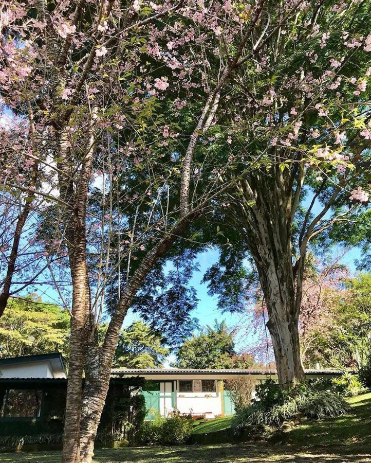 Pinheiros Do Rocio Hotel Petropolis  Bagian luar foto