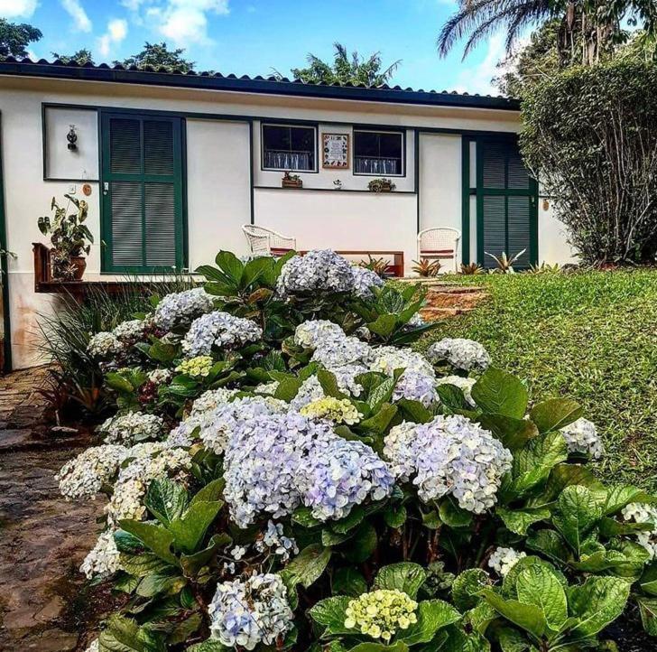 Pinheiros Do Rocio Hotel Petropolis  Bagian luar foto
