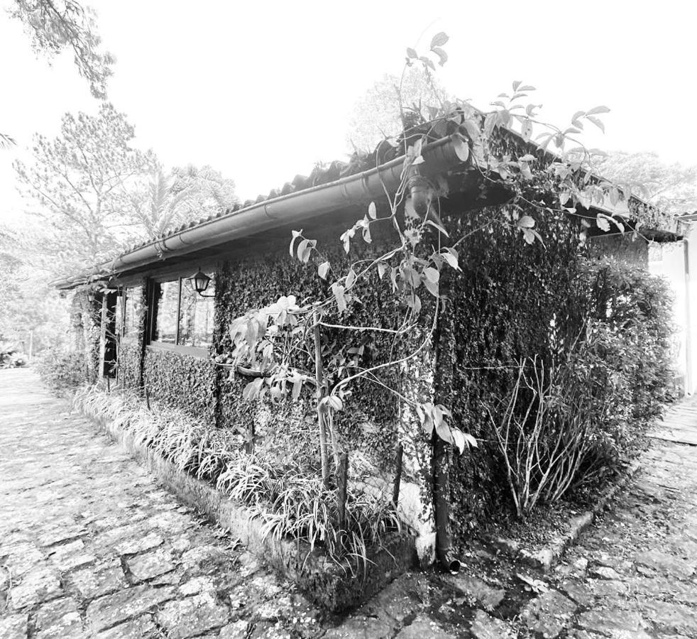 Pinheiros Do Rocio Hotel Petropolis  Bagian luar foto