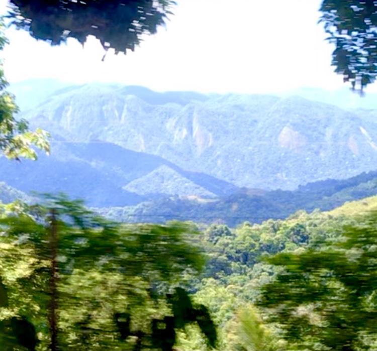 Pinheiros Do Rocio Hotel Petropolis  Bagian luar foto